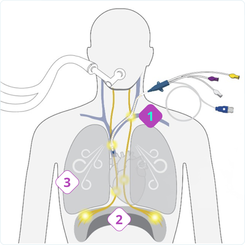 Interactive-Diagram-1
