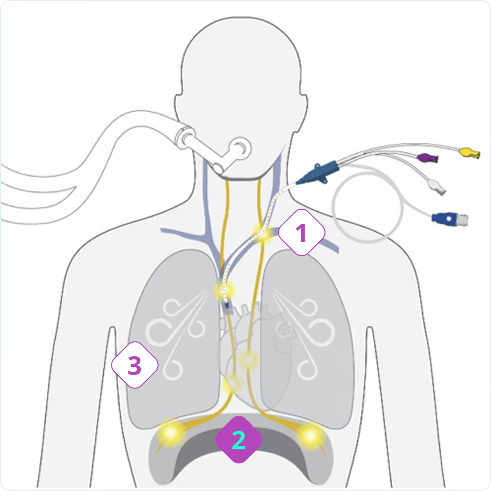 Interactive-Diagram-2
